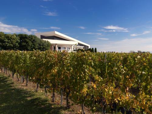 novost teroar bez kompromisa vinski magazin vino fino