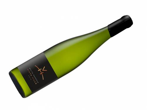 novost top 10 belih vina pobeda neobičnog grašca vinski magazin vino fino
