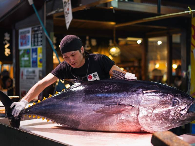 novost tuna ferari okeanskih dubina vinski magazin vino fino