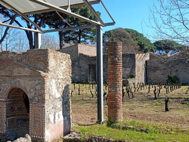 novost u drevnim pompejima ponovo će se praviti vino vinski magazin vino fino