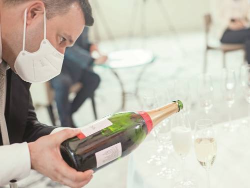novost učenju nema kraja vinski magazin vino fino