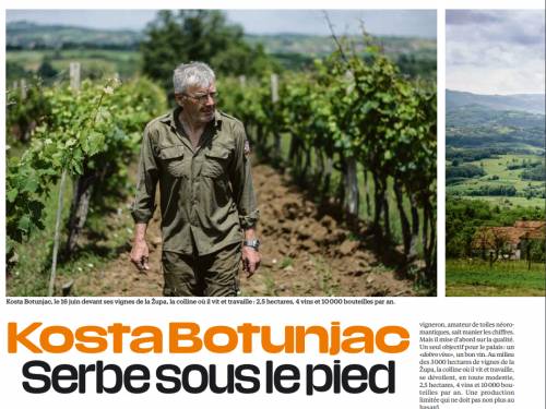 novost ugledni francuski list pisao o srpskom vinaru vinski magazin vino fino