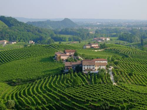 novost uspešno predstavljeno vinsko blago italije vinski magazin vino fino
