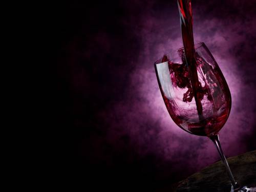 novost uspon frankovke u srpskim vinogradima vinski magazin vino fino