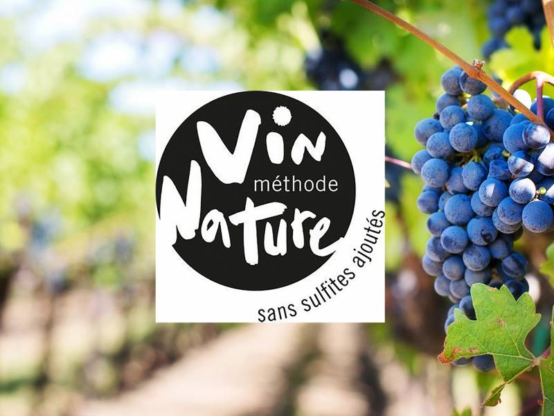 novost velika promena u francuskom vinarstvu vinski magazin vino fino