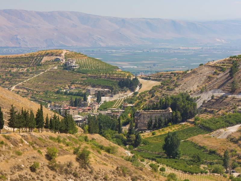 novost vina iz zemlje kedrova vinski magazin vino fino