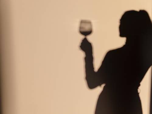 novost vino - generator emocija vinski magazin vino fino