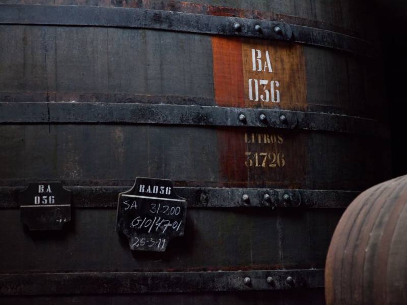novost vino sa dahom atlantika vinski magazin vino fino
