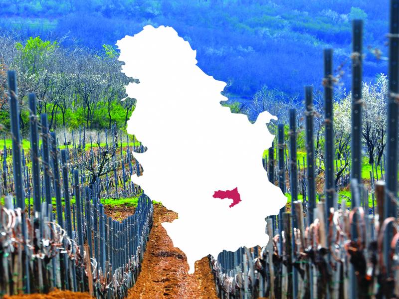 novost vinograde čuvaju planine vinski magazin vino fino