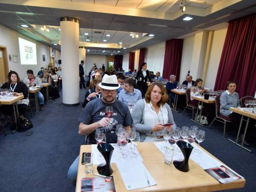 novost vinska elita na skupu okusi razliku okusi prokupac vinski magazin vino fino