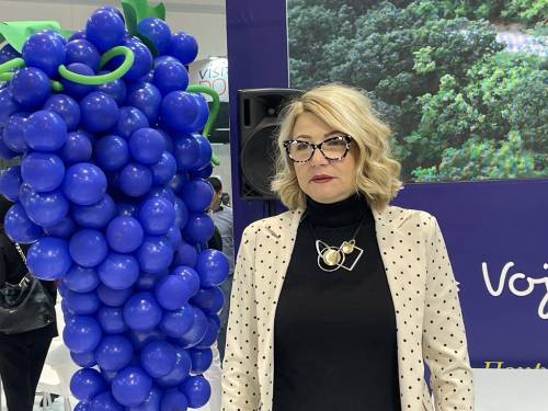 novost vinska šetnja postaje novi vojvođanski brend vinski magazin vino fino