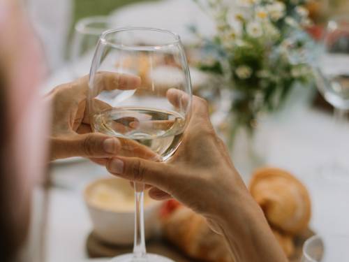 novost vojvođanski ugostitelji slave vina od grašca vinski magazin vino fino