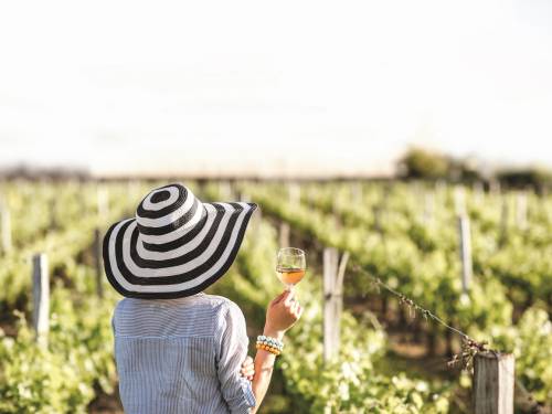 novost Ženski rukopis u srpskim vinima vinski magazin vino fino