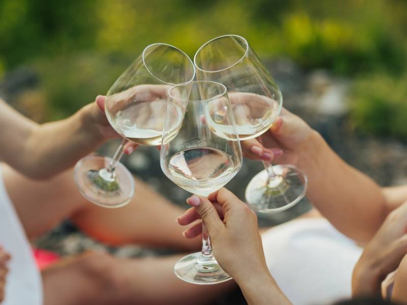 novost zrenjanin domaĆin slavnim vinarima vinski magazin vino fino
