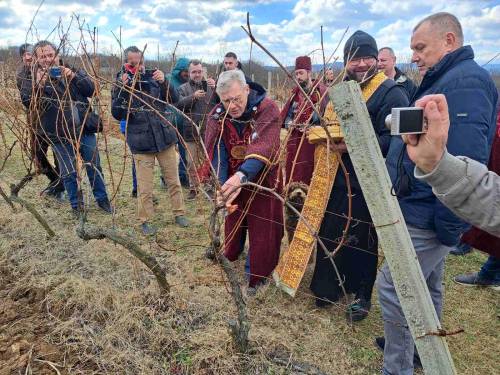 novost Župski vinari proslavili su svetog trifuna vinski magazin vino fino