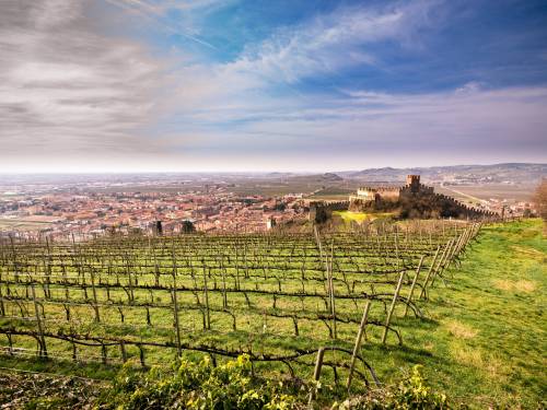 reportaza vinski putevi italije iskustva koja se pamte vinski magazin vino fino