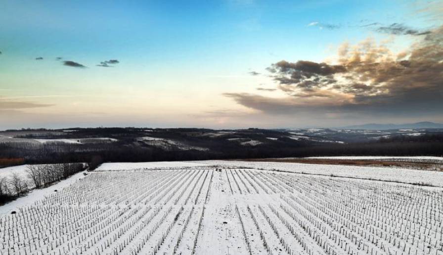 vino carigradski vinski drum je otvoren vinski magazin vino fino