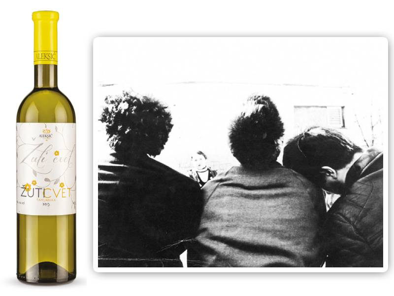 vinopis Žuti cvet vinski magazin vino fino